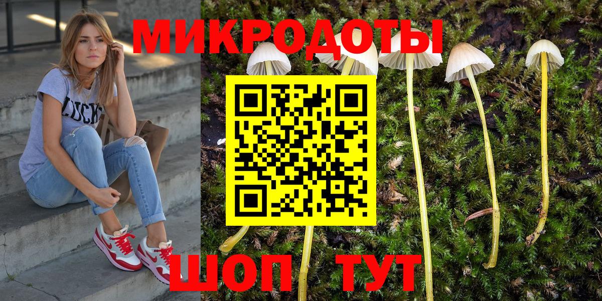 Ессентуки  Псилоцибиновые грибы Cubensis  Вход с VPN  Псилоцибиновые грибы Psilocybine cubensis 