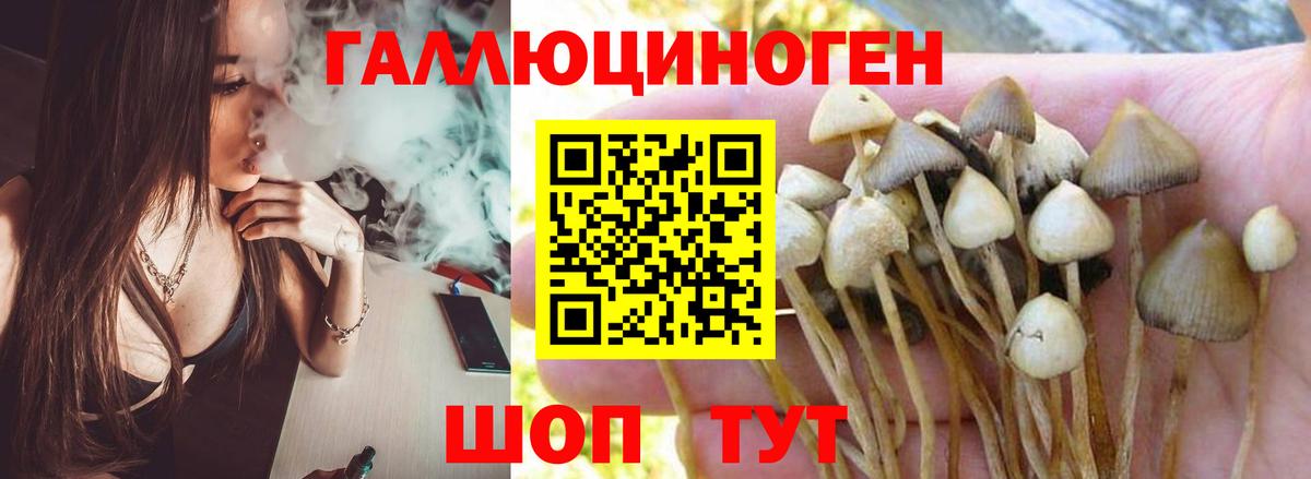Галлюциногенные грибы мицелий Ессентуки